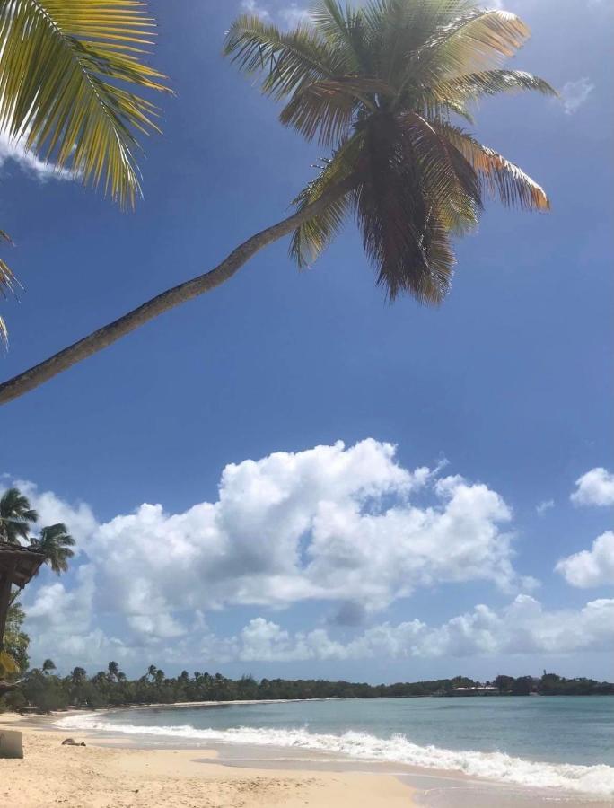 Couleur Caraibes-Cocobeach Martinique Pierre Et Vacances سانت لوسي المظهر الخارجي الصورة