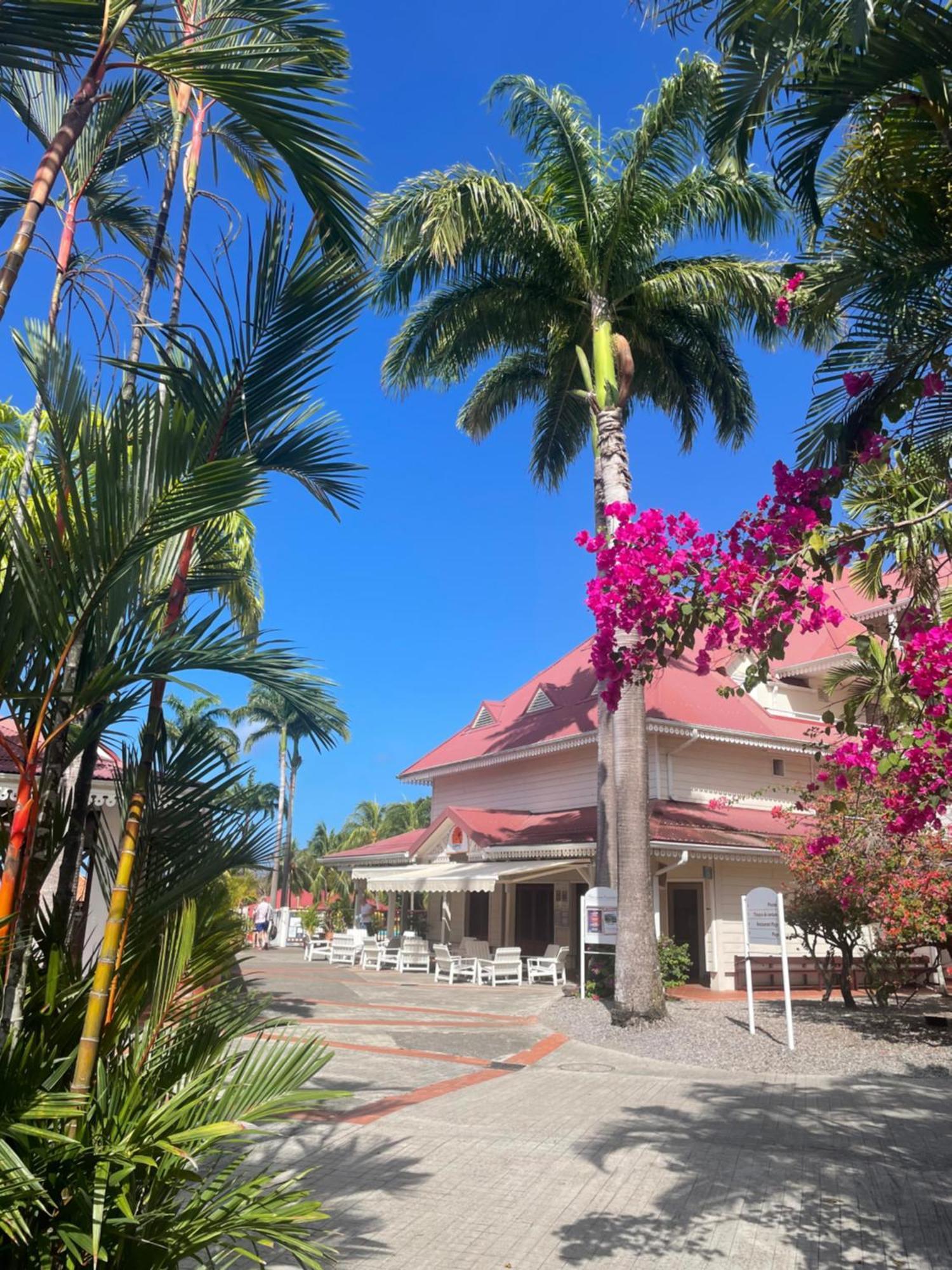 Couleur Caraibes-Cocobeach Martinique Pierre Et Vacances سانت لوسي المظهر الخارجي الصورة