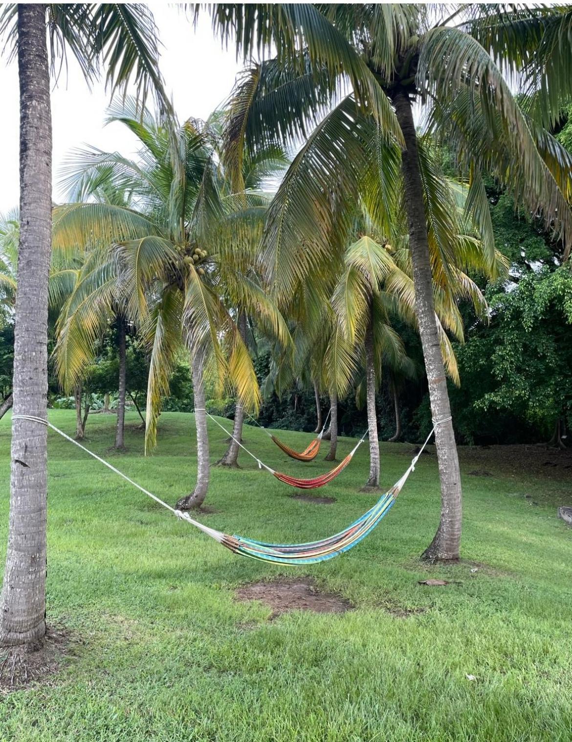 Couleur Caraibes-Cocobeach Martinique Pierre Et Vacances سانت لوسي المظهر الخارجي الصورة