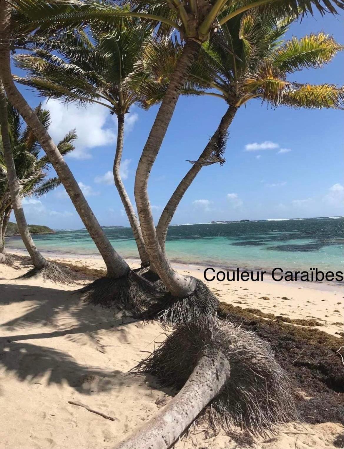 Couleur Caraibes-Cocobeach Martinique Pierre Et Vacances سانت لوسي المظهر الخارجي الصورة
